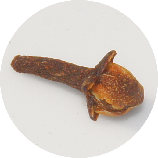 Gew&uuml;rznelken als Medizin in der TCM und deren medizinische Wirkung